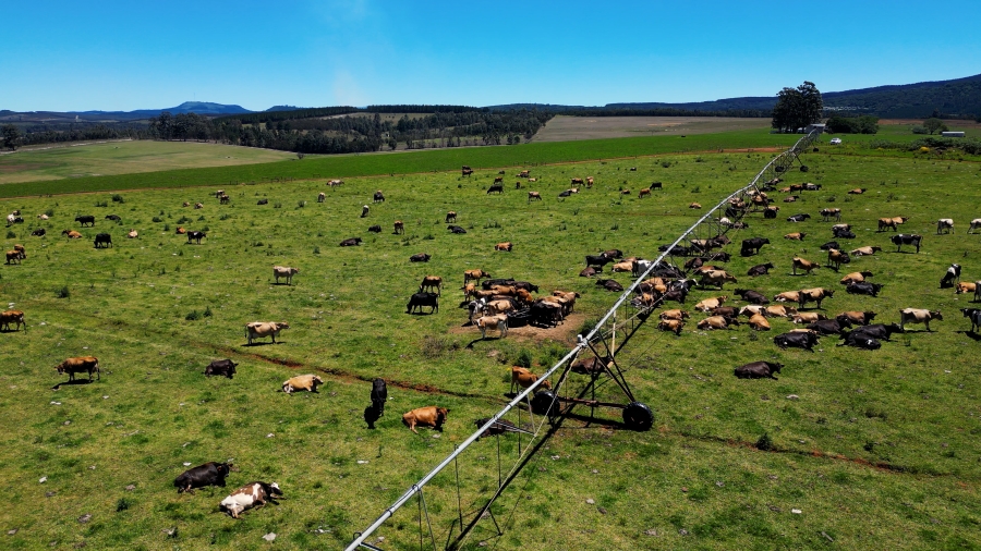 0 Bedroom Property for Sale in Stutterheim Rural Eastern Cape